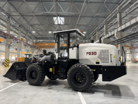 Фронтальный погрузчик Профессионал PB30. Вид сзади